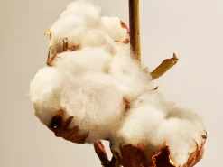 Rituals Cotton Blossom Fragrance Sticks
