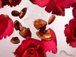 Rituals Fragrance Sticks Duo