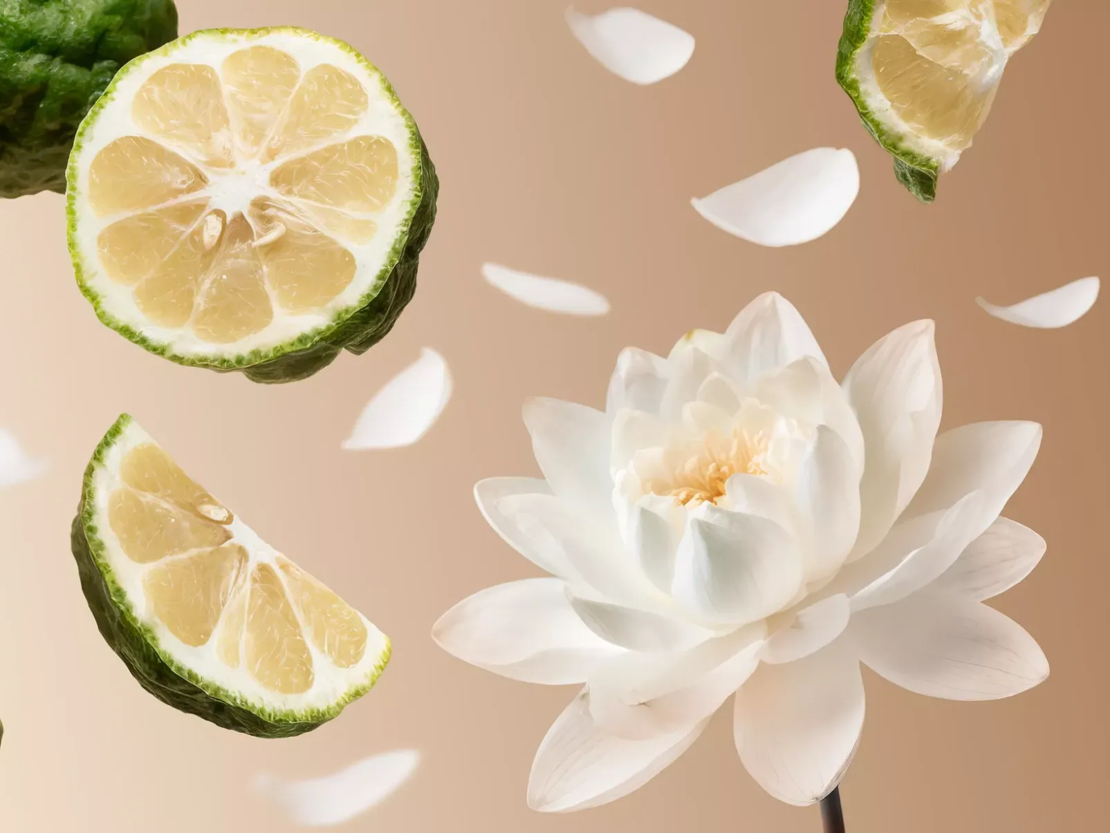 Rituals Soleil d'Or